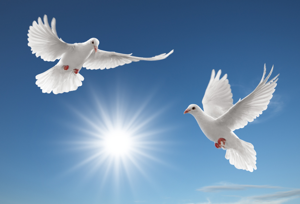陜西太陽(yáng)景環(huán)?？萍加邢薰炯庸S(chǎng)業(yè)務(wù)承攬公告